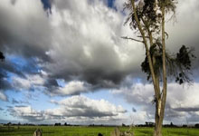 游戏公司名称大全两个字(精选500个)